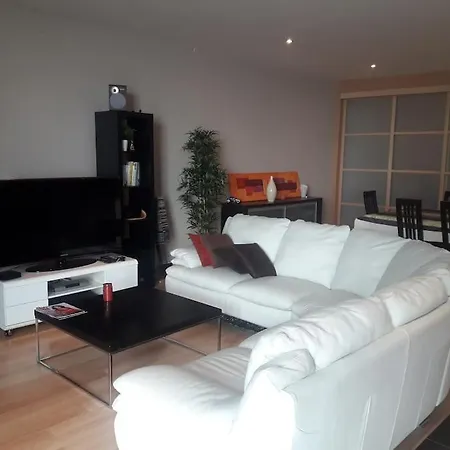 Loft Avec Et Billard Lejlighed Brest