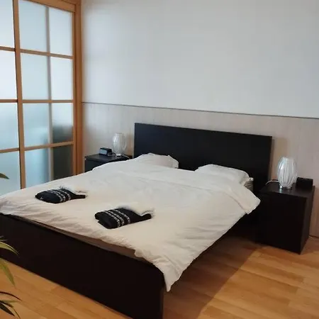 Lejlighed Loft Avec Et Billard Brest